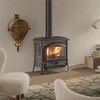 Kép 1/3 - La Nordica TERMOISOTTA DSA vízteres öntöttvas fatüzelésű kályha (15 kW)